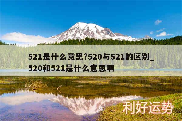 521是什么意思?520与521的区别_520和521是什么意思啊