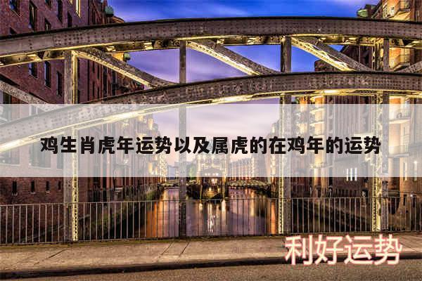 鸡生肖虎年运势以及属虎的在鸡年的运势