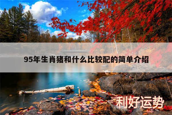 95年生肖猪和什么比较配的简单介绍