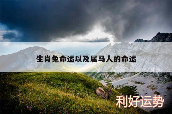 生肖兔命运以及属马人的命运