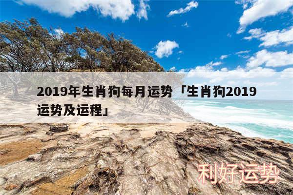 2019年生肖狗每月运势及生肖狗2019运势及运程
