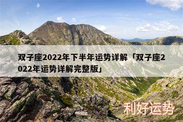 双子座2024年下半年运势详解及双子座2024年运势详解完整版