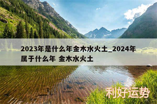 2024年是什么年金木水火土_2024年属于什么年 金木水火土