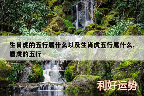 生肖虎的五行属什么以及生肖虎五行属什么,属虎的五行