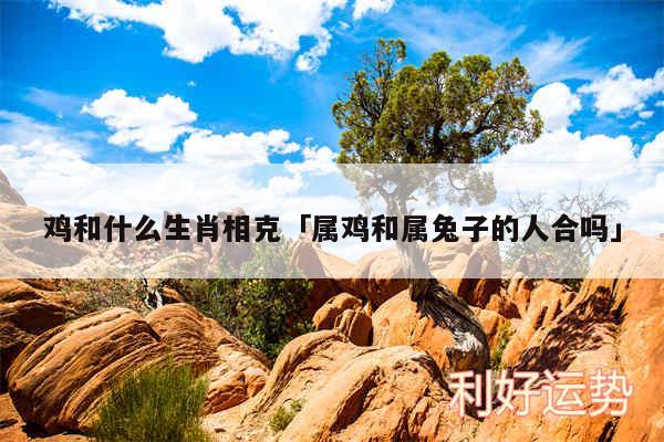 鸡和什么生肖相克及属鸡和属兔子的人合吗