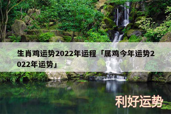 生肖鸡运势2024年运程及属鸡今年运势2024年运势