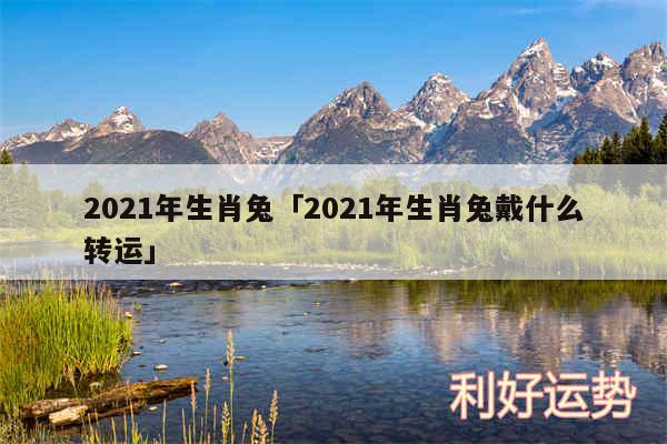 2024年生肖兔及2024年生肖兔戴什么转运