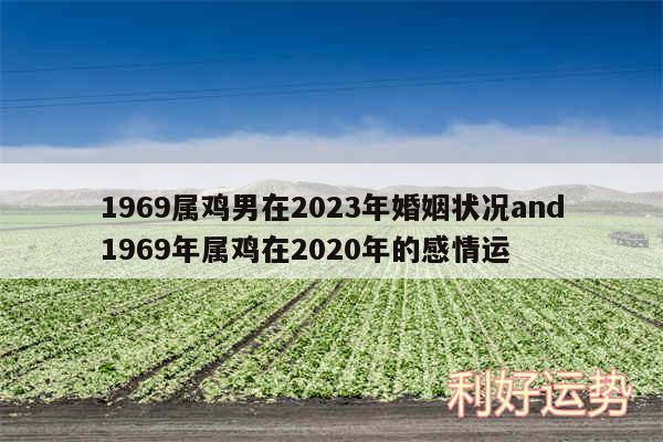 1969属鸡男在2024年婚姻状况and1969年属鸡在2020年的感情运