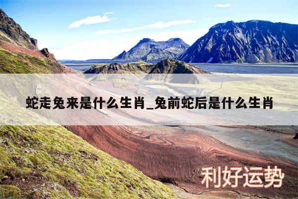 蛇走兔来是什么生肖_兔前蛇后是什么生肖