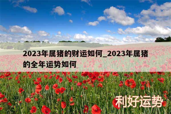 2024年属猪的财运如何_2024年属猪的全年运势如何