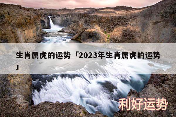 生肖属虎的运势及2024年生肖属虎的运势