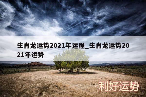 生肖龙运势2024年运程_生肖龙运势2024年运势