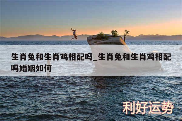 生肖兔和生肖鸡相配吗_生肖兔和生肖鸡相配吗婚姻如何