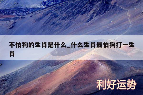 不怕狗的生肖是什么_什么生肖最怕狗打一生肖