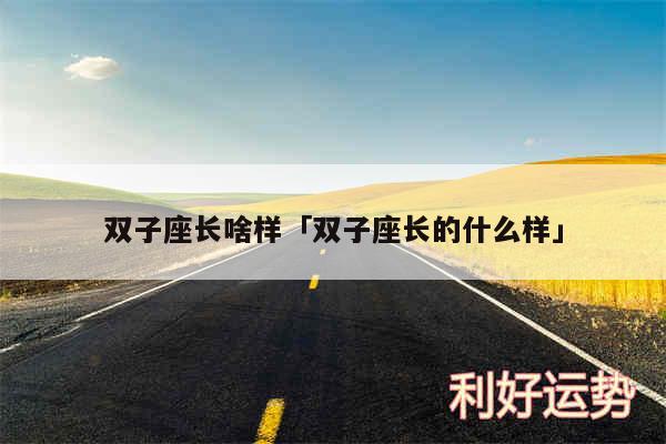 双子座长啥样及双子座长的什么样