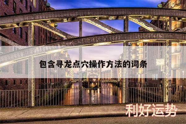 包含寻龙点穴操作方法的词条