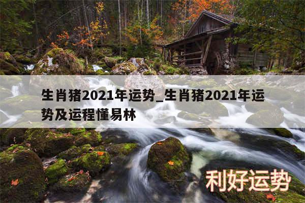 生肖猪2024年运势_生肖猪2024年运势及运程懂易林