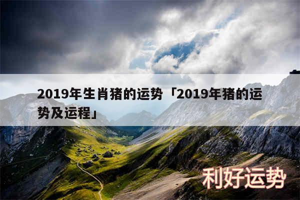 2019年生肖猪的运势及2019年猪的运势及运程