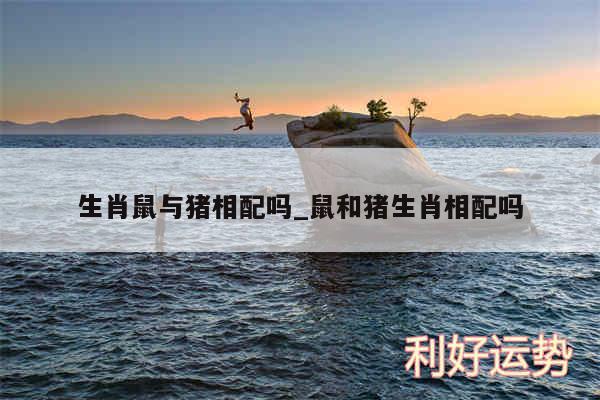 生肖鼠与猪相配吗_鼠和猪生肖相配吗