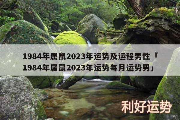 1984年属鼠2024年运势及运程男性及1984年属鼠2024年运势每月运势男