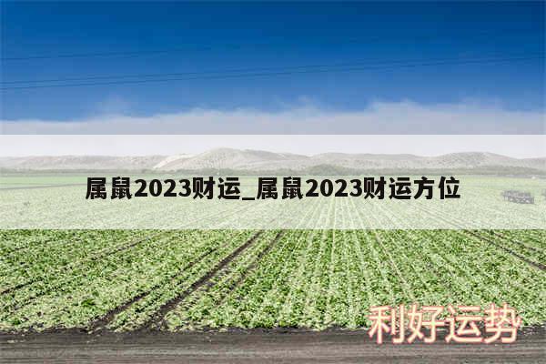 属鼠2024财运_属鼠2024财运方位