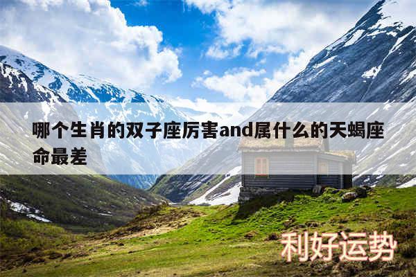哪个生肖的双子座厉害and属什么的天蝎座命最差