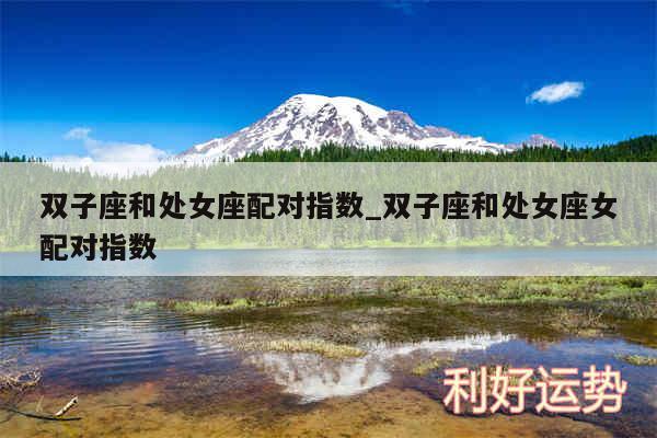 双子座和处女座配对指数_双子座和处女座女配对指数