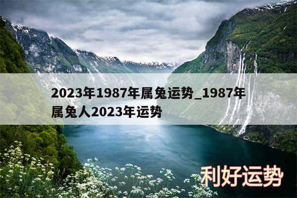 2024年1987年属兔运势_1987年属兔人2024年运势