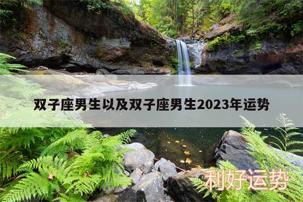 双子座男生以及双子座男生2024年运势
