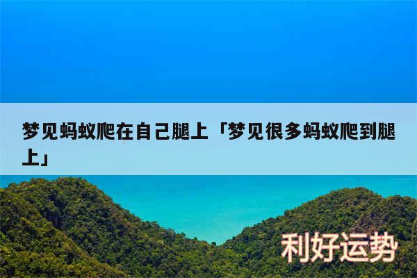 梦见蚂蚁爬在自己腿上及梦见很多蚂蚁爬到腿上