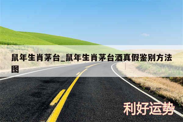 鼠年生肖茅台_鼠年生肖茅台酒真假鉴别方法图