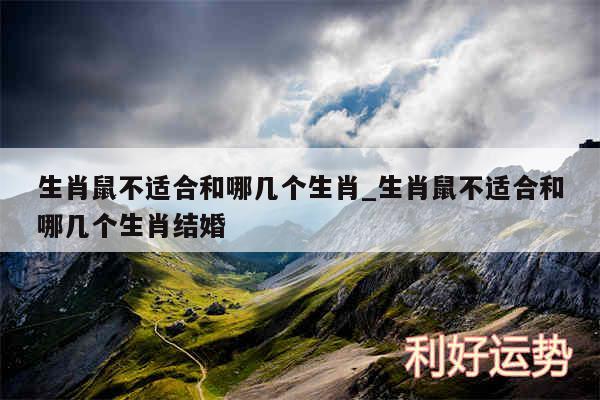 生肖鼠不适合和哪几个生肖_生肖鼠不适合和哪几个生肖结婚