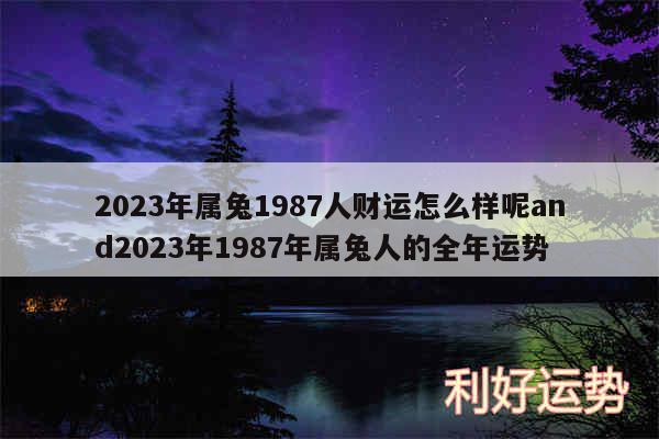 2024年属兔1987人财运怎么样呢and2024年1987年属兔人的全年运势