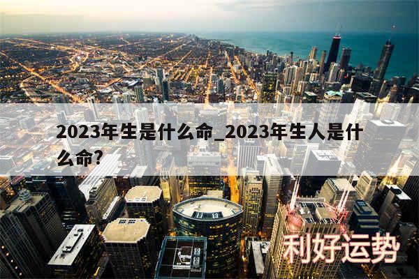 2024年生是什么命_2024年生人是什么命?