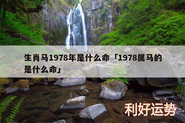 生肖马1978年是什么命及1978属马的是什么命