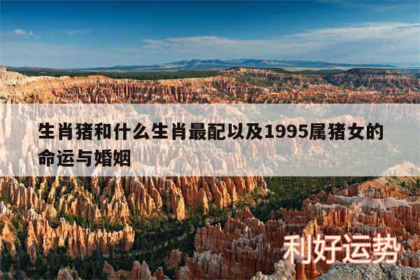 生肖猪和什么生肖最配以及1995属猪女的命运与婚姻