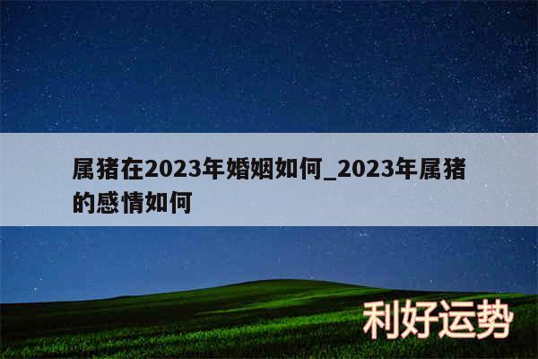 属猪在2024年婚姻如何_2024年属猪的感情如何