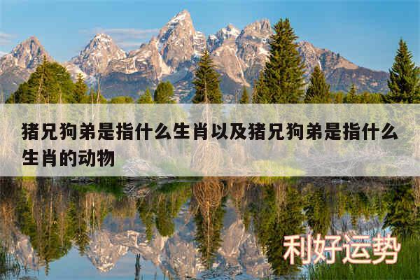 猪兄狗弟是指什么生肖以及猪兄狗弟是指什么生肖的动物