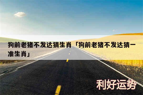 狗前老猪不发达猜生肖及狗前老猪不发达猜一准生肖