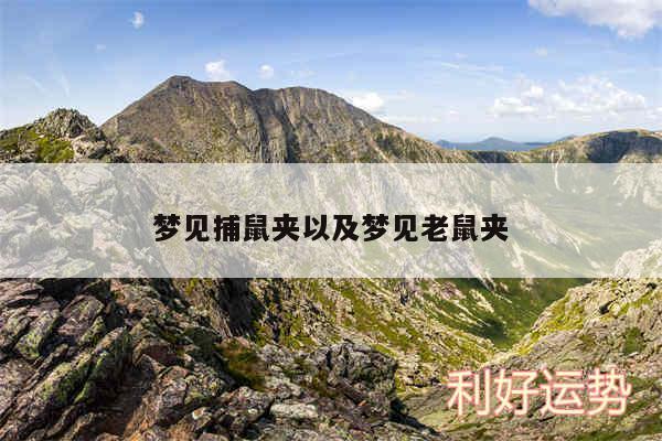 梦见捕鼠夹以及梦见老鼠夹