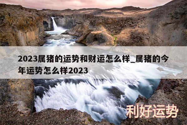 2024属猪的运势和财运怎么样_属猪的今年运势怎么样2024