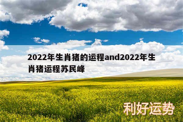 2024年生肖猪的运程and2024年生肖猪运程苏民峰