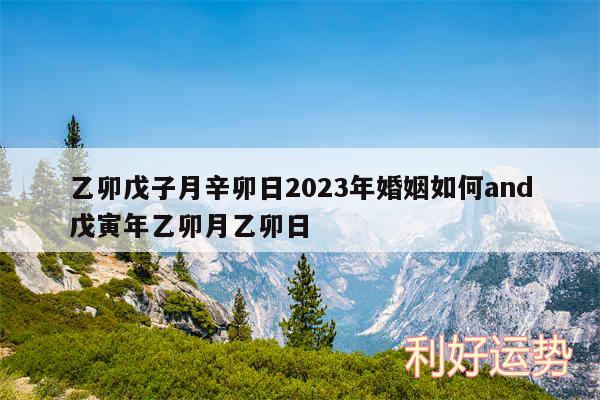 乙卯戊子月辛卯日2024年婚姻如何and戊寅年乙卯月乙卯日