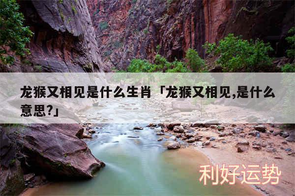 龙猴又相见是什么生肖及龙猴又相见,是什么意思?