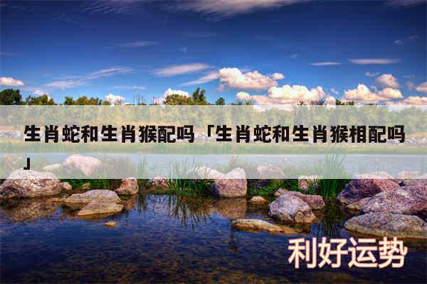 生肖蛇和生肖猴配吗及生肖蛇和生肖猴相配吗