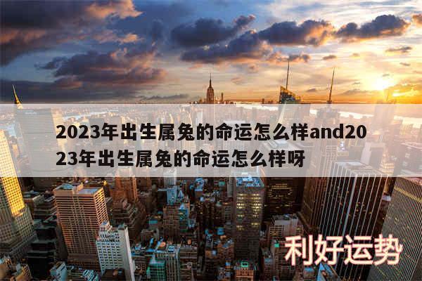 2024年出生属兔的命运怎么样and2024年出生属兔的命运怎么样呀