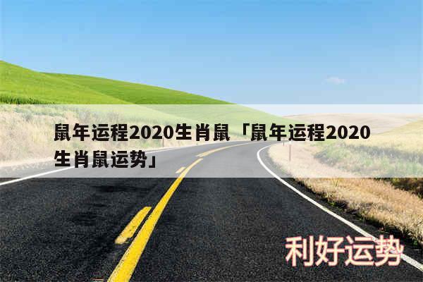 鼠年运程2020生肖鼠及鼠年运程2020生肖鼠运势