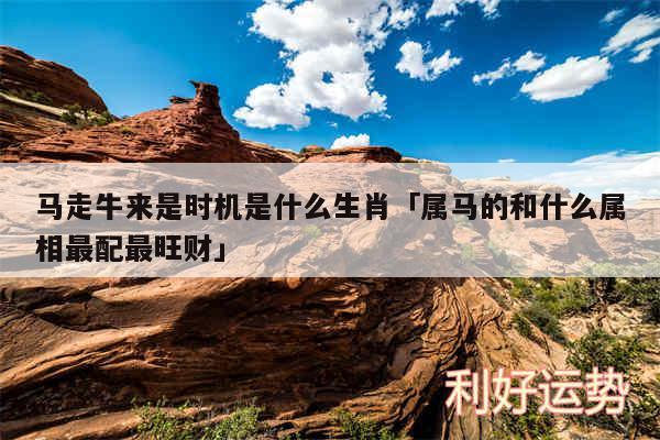 马走牛来是时机是什么生肖及属马的和什么属相最配最旺财