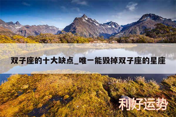 双子座的十大缺点_唯一能毁掉双子座的星座