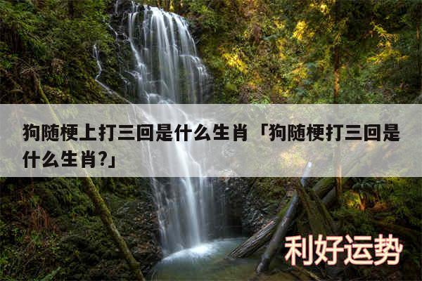 狗随梗上打三回是什么生肖及狗随梗打三回是什么生肖?